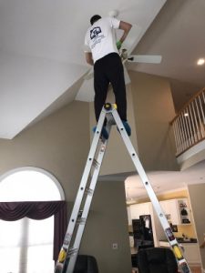 speedy-cleaning-company-services-residential-img-7